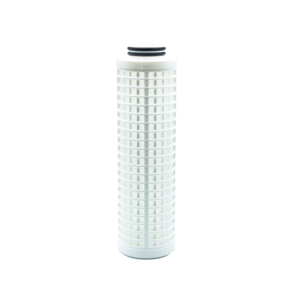 Wasbare Cartouche Senior Bx 10"